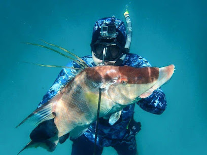Spearfishing Charters and Learning Center