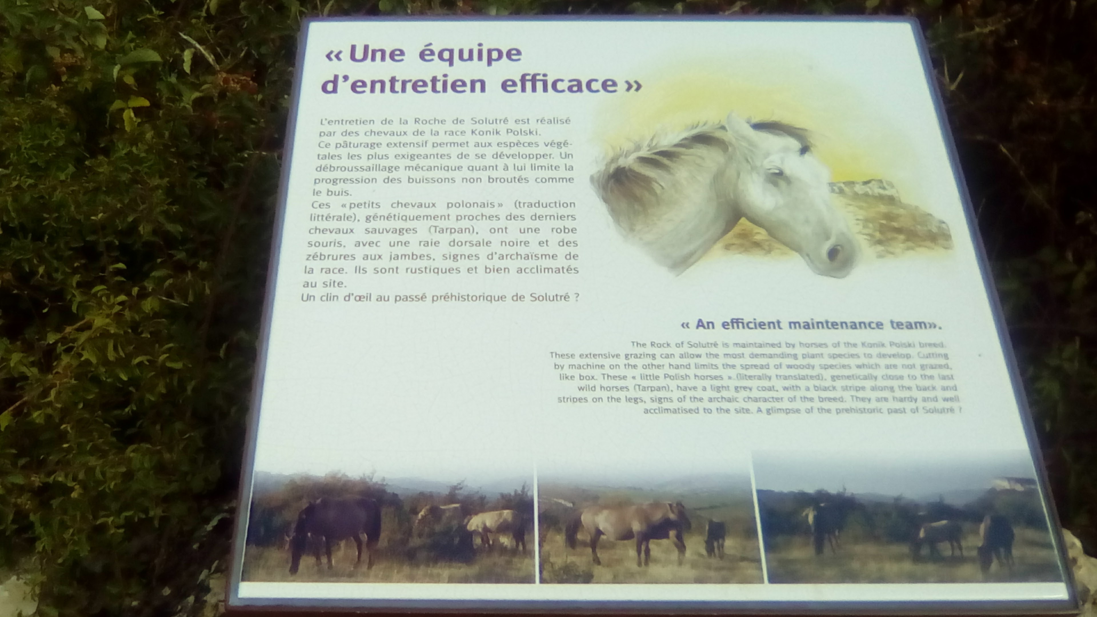 Photo n° 2 de l'avis de Beatrice.r fait le 09/09/2017 à 20:10