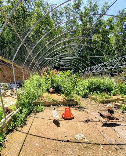 Pet Store «Ponds & Plants», reviews and photos