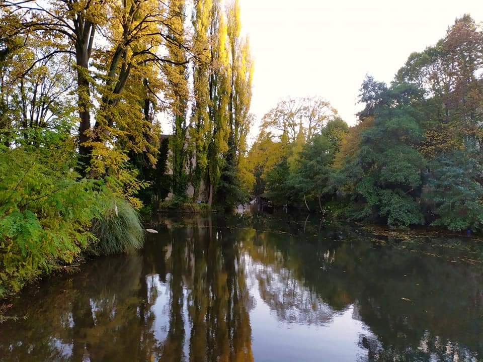 Photo n° 10 de l'avis de Frederic.a fait le 01/11/2021 à 16:25