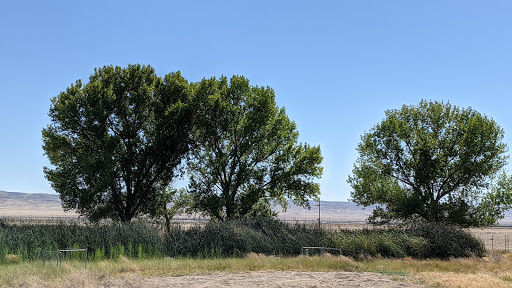 Nature Preserve «Tule Elk Reserve State Natural Reserve», reviews and photos, 8653 Station Rd, Buttonwillow, CA 93206, USA