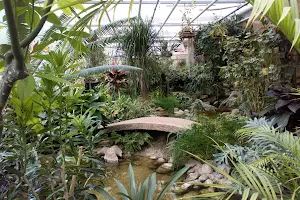 Jardin des Plantes image