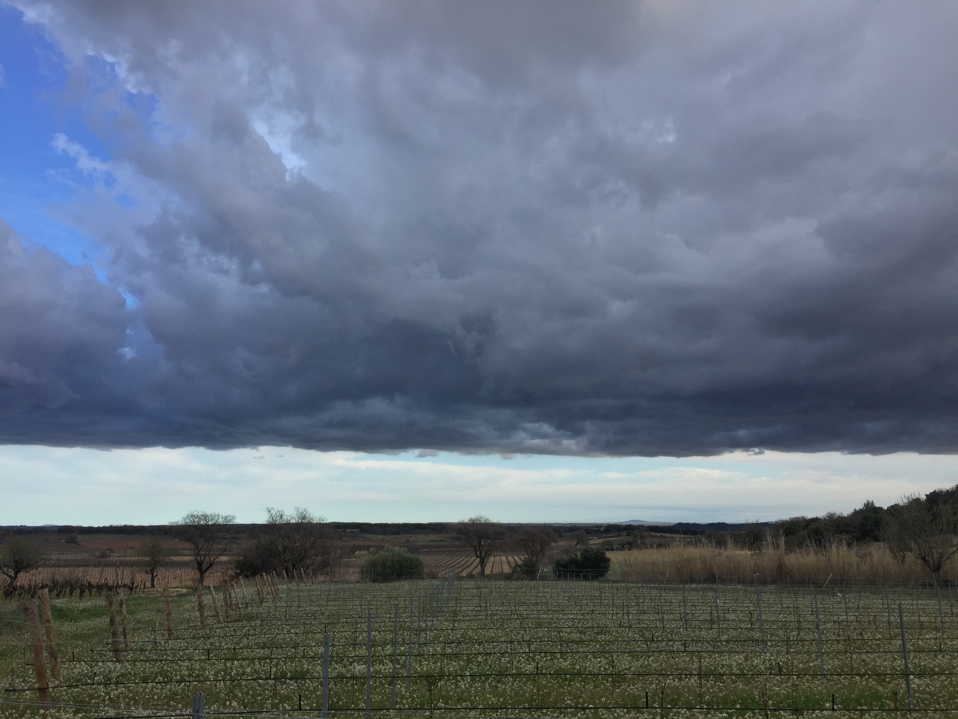 Photo n° 2 de l'avis de Molly.h fait le 26/12/2018 à 04:07