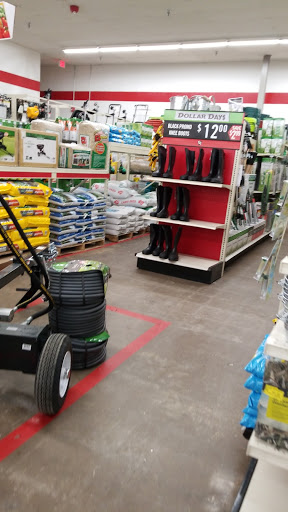Home Improvement Store «Tractor Supply Co.», reviews and photos, 471 E Main St STE 3, Gouverneur, NY 13642, USA