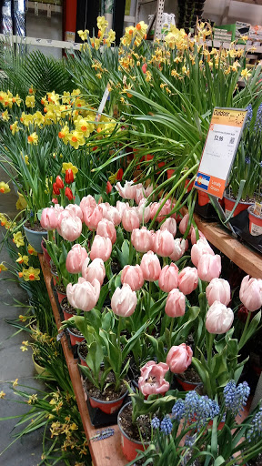 Home Improvement Store «The Home Depot», reviews and photos, 2440 Buckley Rd, Brighton, CO 80601, USA