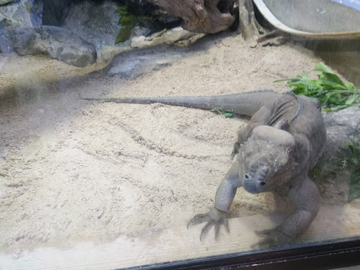 Pet Store «Incredible Pets Inc», reviews and photos, 2255 N Wickham Rd # 102, Melbourne, FL 32935, USA