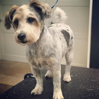 Doggone Dirty - Photo 3 - Car repair in , Pompano Beach