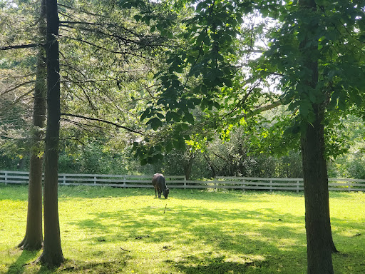 Park «Endicott Park (Town of Danvers)», reviews and photos, 57 Forest St, Danvers, MA 01923, USA