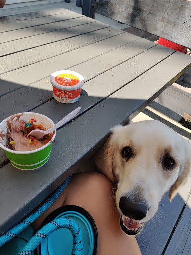 Ice Cream Shop «Churned Creamery», reviews and photos, 2493 Park Ave #21, Tustin, CA 92782, USA