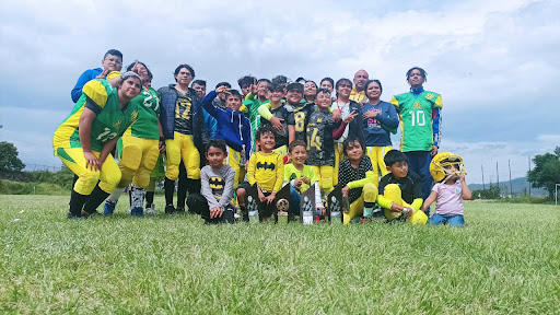 Club Mapaches Football