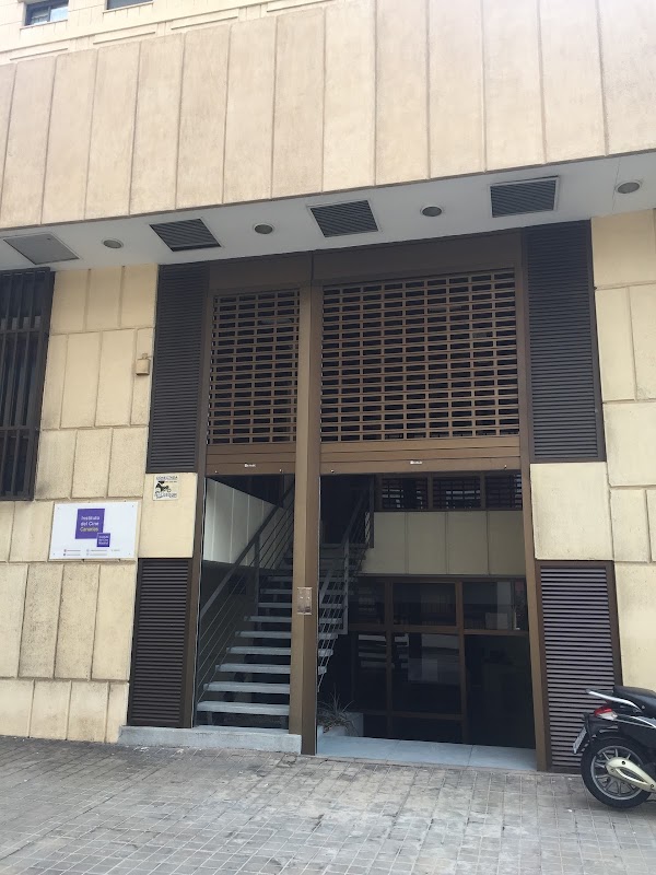 Imagen de INSTITUTO DEL CINE CANARIAS (2 de 8)