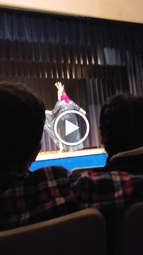 Art Museum «Springfield Art Museum», reviews and photos, 1111 E Brookside Dr, Springfield, MO 65807, USA