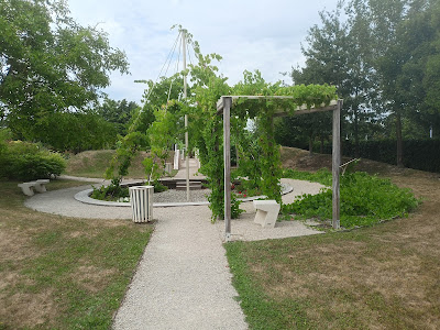 Jardin de Vigne à Chouilly