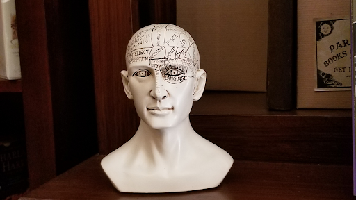 Book Store «Paranormal Books & Curiosities-RENOVATING», reviews and photos, 621 Cookman Ave, Asbury Park, NJ 07712, USA