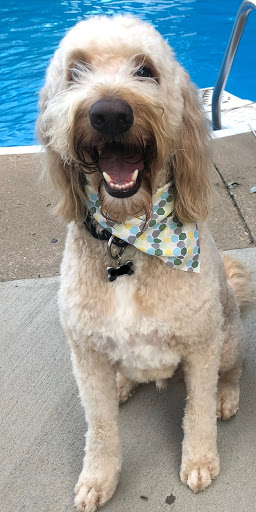 Pet Supply Store «Treats Unleashed», reviews and photos, 306 Mid Rivers Center, St Peters, MO 63376, USA