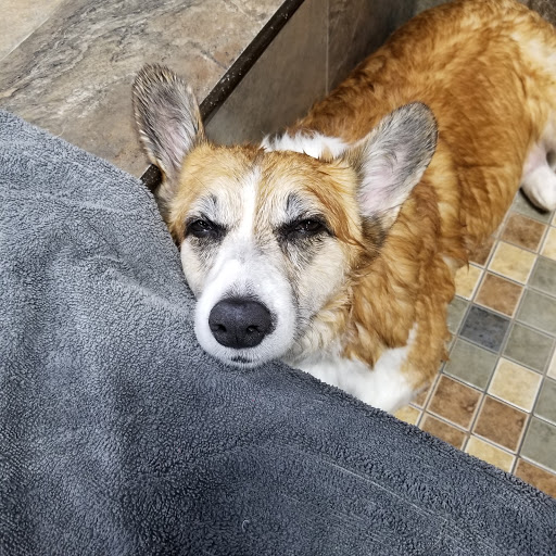 Pet Store «Pet Valu», reviews and photos, 725 River Rd, Edgewater, NJ 07020, USA