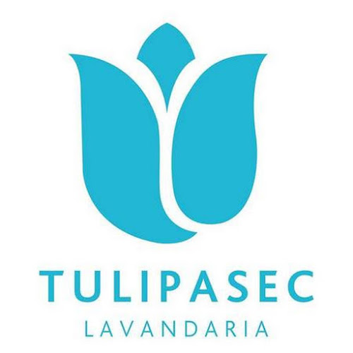 Avaliações doLavandaria Tulipasec em Almada - Lavandería