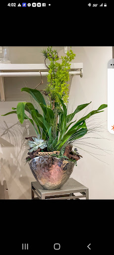 Florist «Mia fiori», reviews and photos, 5840 Legacy Cir D165, Plano, TX 75024, USA