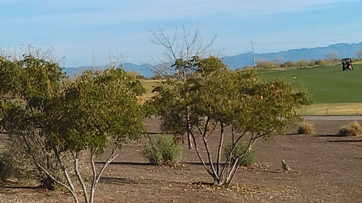 Home Builder «Sun City Anthem at Merrill Ranch by Del Webb», reviews and photos