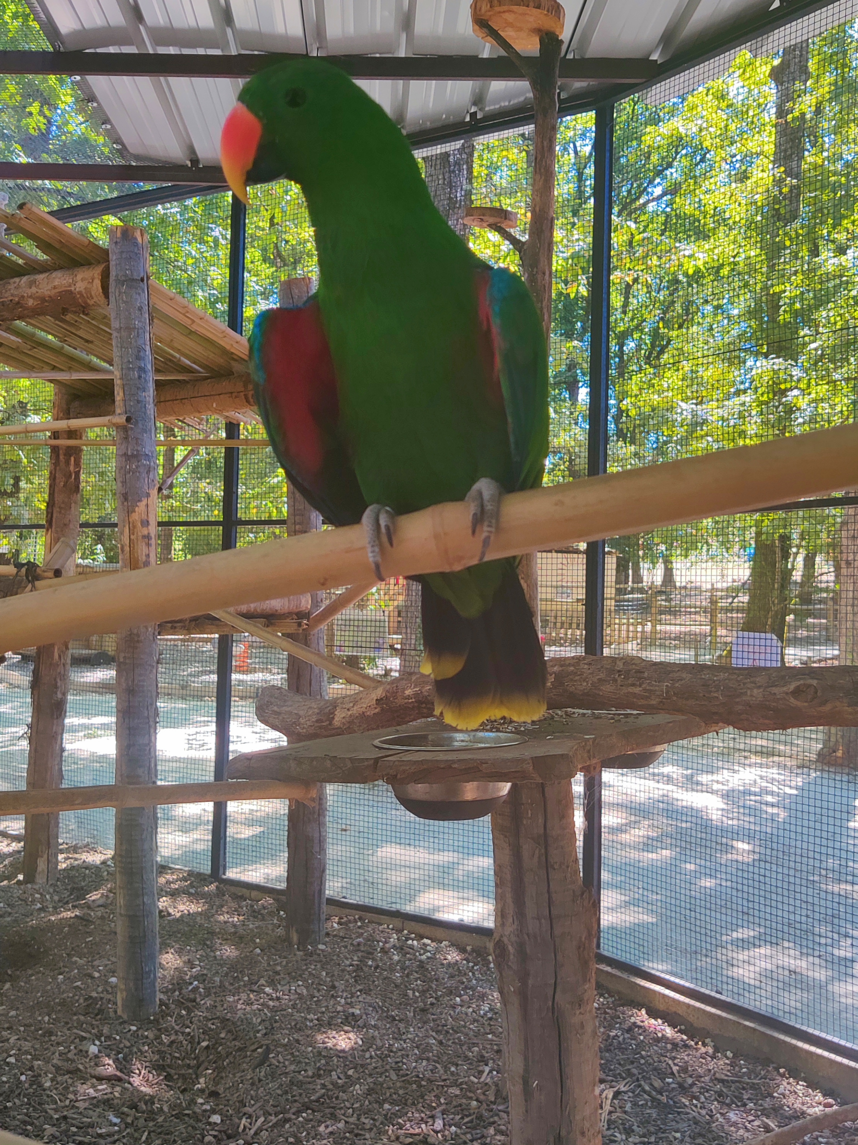 Photo n° 4 de l'avis de kass.l fait le 24/07/2022 à 17:29