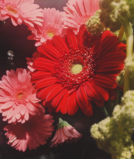 Florist «A Touch of Elegance Florist», reviews and photos, 360 S Franklin Ave, Belleville, NJ 07109, USA