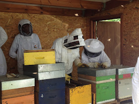 Apiary School Ottignies