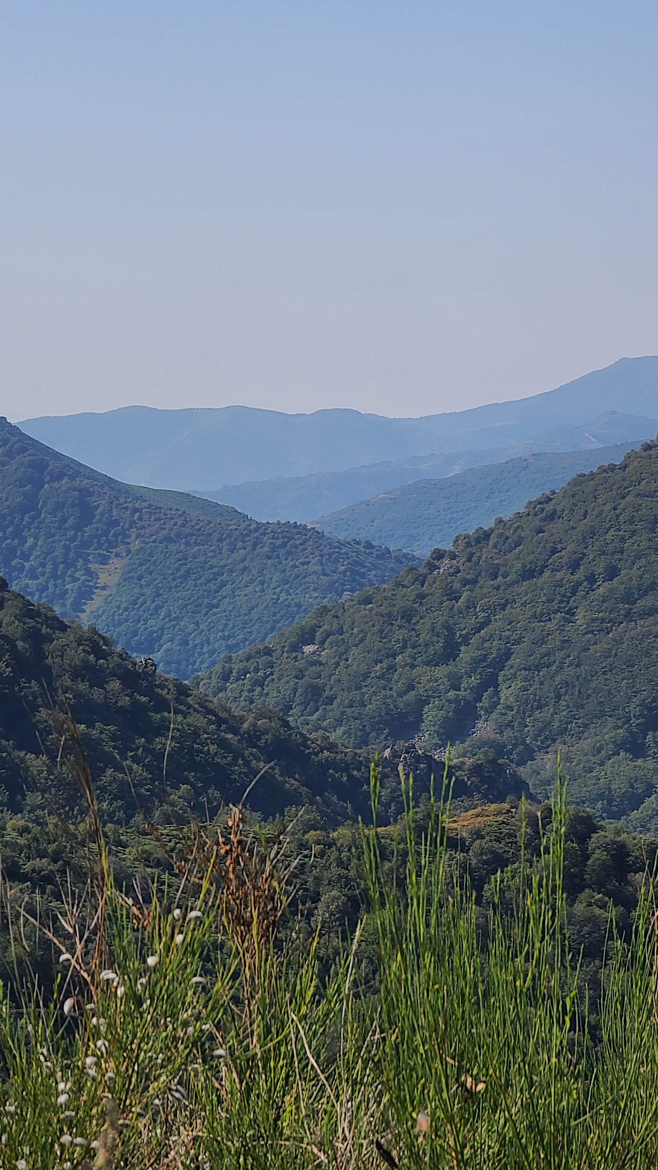 Photo n° 8 de l'avis de Seb.E fait le 24/08/2023 à 21:56