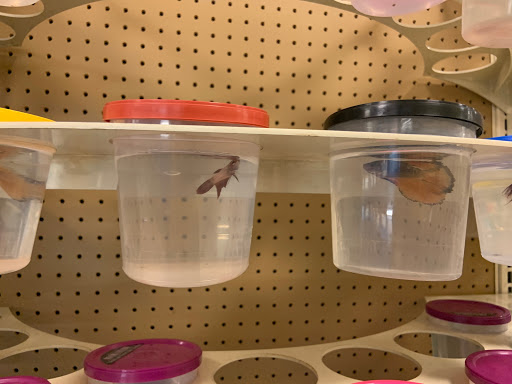 Pet Supply Store «Petco Animal Supplies», reviews and photos, 4913 Main St, Spring Hill, TN 37174, USA