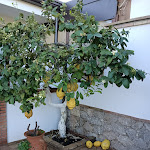 Photo n°4 de l'avis de Joe.a fait le 01/03/2024 à 15:29 sur le  Villa Antonino à Giardini Naxos