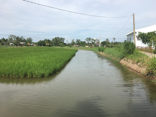 Top 20 cửa hàng tôn Huyện Châu Thành Trà Vinh 2022