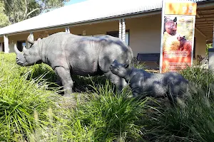 Dubbo Visitors Information Centre image