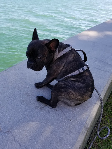 Park «Brickell Key Park», reviews and photos, Brickell Key Dr, Miami, FL 33131, USA