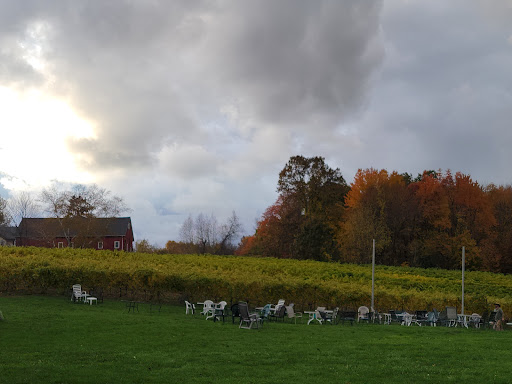 Vineyard «Lost Acres Vineyard», reviews and photos, 80 Lost Acres Rd, North Granby, CT 06060, USA