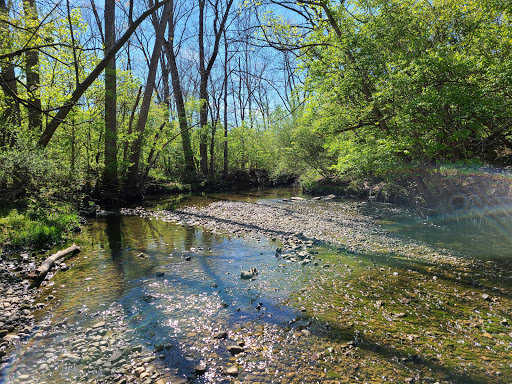 Big Run Park