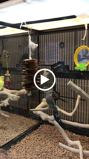 Pet Supply Store «PetSmart», reviews and photos, 24 Countryside Plaza, Countryside, IL 60525, USA