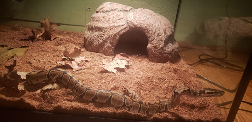 Pet Supply Store «Petco Animal Supplies», reviews and photos, 4915 E 41st St C, Tulsa, OK 74135, USA