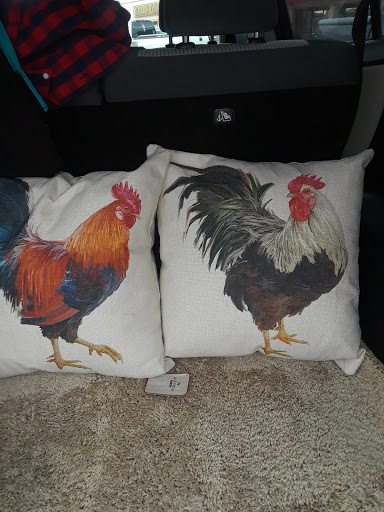 Home Improvement Store «Tractor Supply Co.», reviews and photos, 23741 US-59 #41, Porter, TX 77365, USA