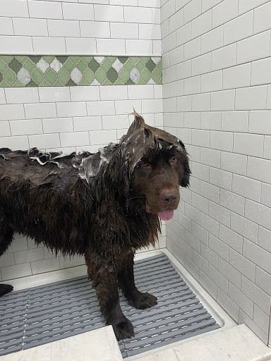 Pet Supply Store «Northside Grange», reviews and photos, 4116 Hamilton Ave, Cincinnati, OH 45223, USA