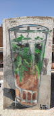 calvo sotelo Melilla