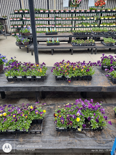 Department Store «Walmart Supercenter», reviews and photos, 333 Main St, Tewksbury, MA 01876, USA