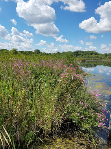 Nature Preserve «Westwood Hills Nature Center», reviews and photos, 8300 W Franklin Ave, St Louis Park, MN 55426, USA
