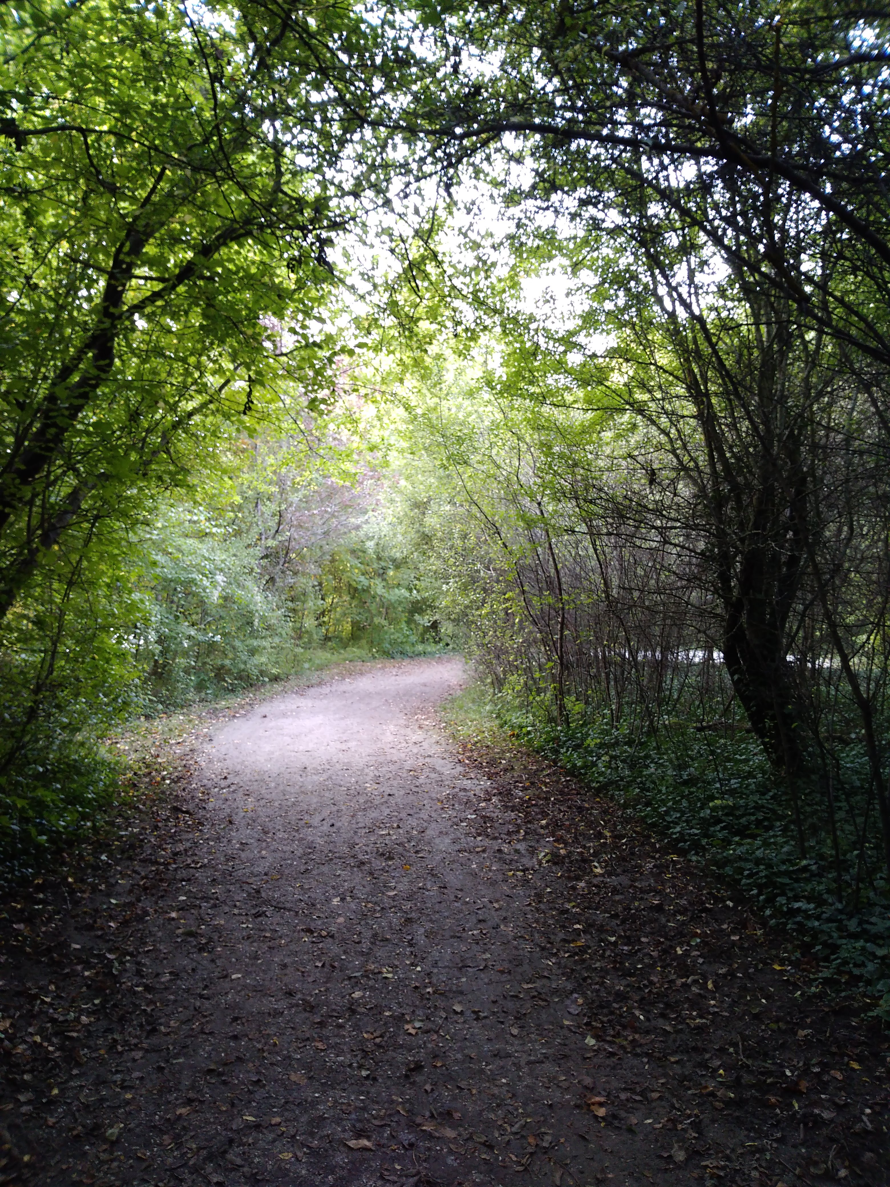Photo n° 4 de l'avis de Laura.a fait le 12/10/2019 à 20:51