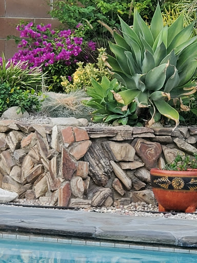 Florist «Plant Safari», reviews and photos, 653 N Central Ave, Upland, CA 91786, USA