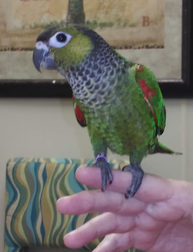 Pet Store «Woofmeow Family Pet Center», reviews and photos, 19 Manchester Rd Suite A, Derry, NH 03038, USA