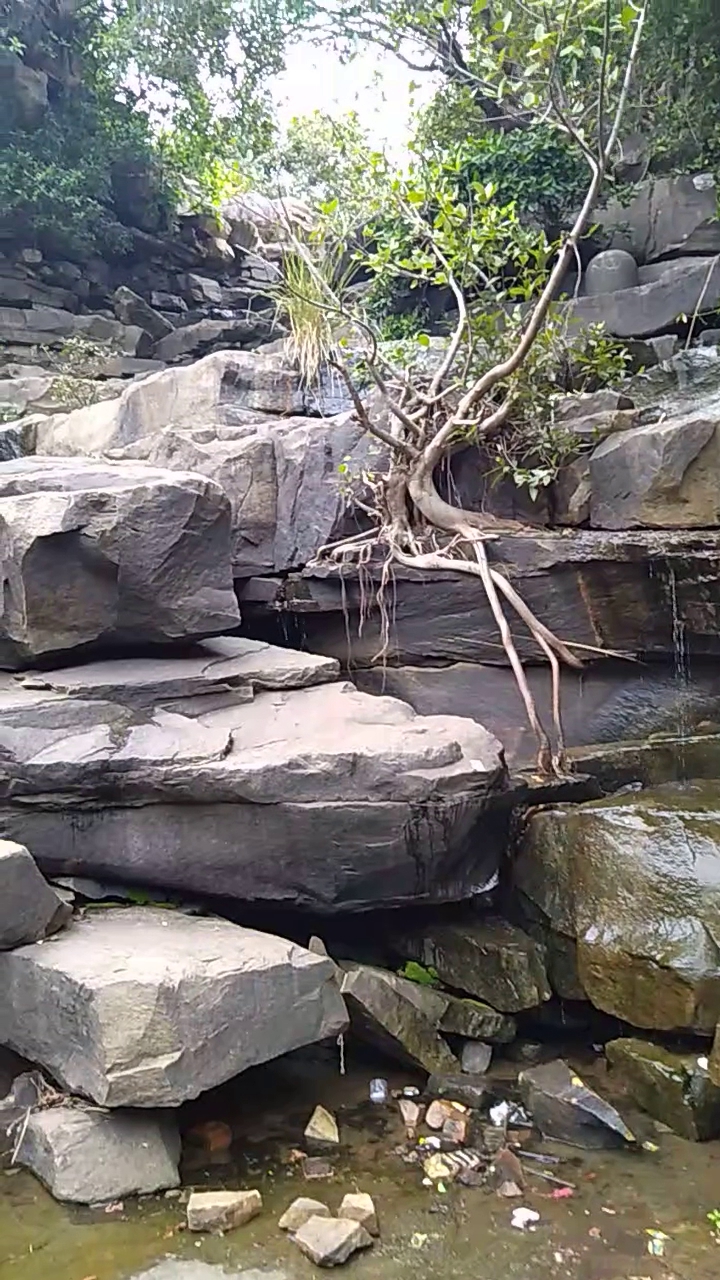 dashrath ghat mandir