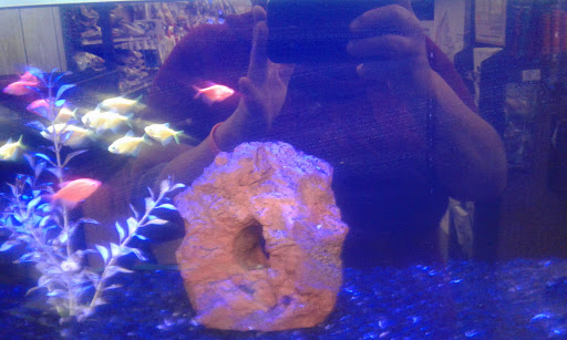 Pet Supply Store «Petco Animal Supplies», reviews and photos, 3430 W State St, Grand Island, NE 68803, USA