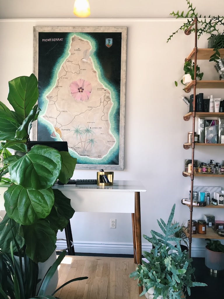 Theo's of Princeton Salon 08542
