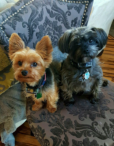 4805 S 74th St, Greenfield, WI 53220, USA