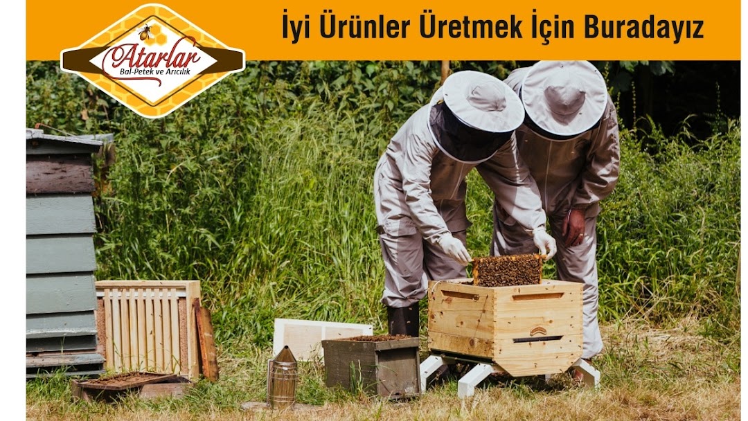 ATARLAR BAL ve ARICILIK