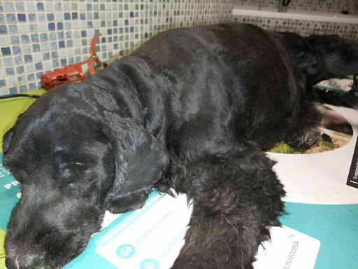 Veterinaria Valle en Dúrcal